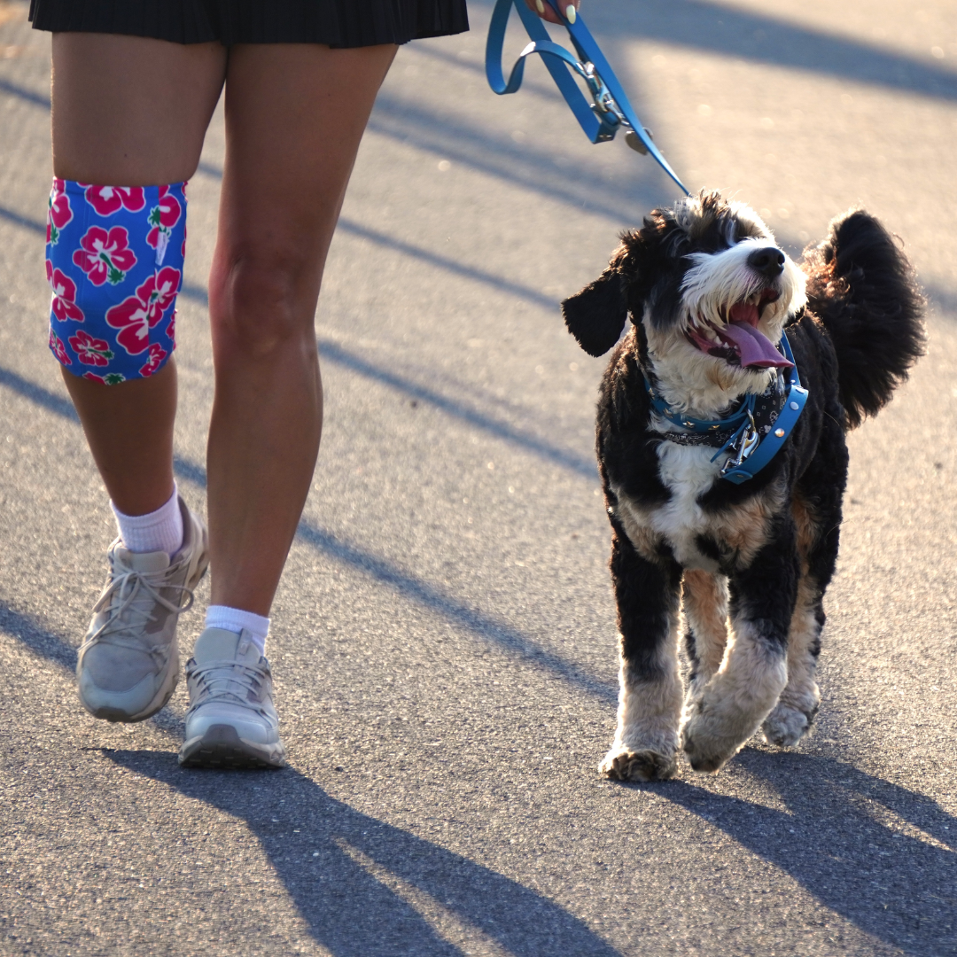 Woman walking her dog wearing a medium HurtSkurt after having knee surgery
